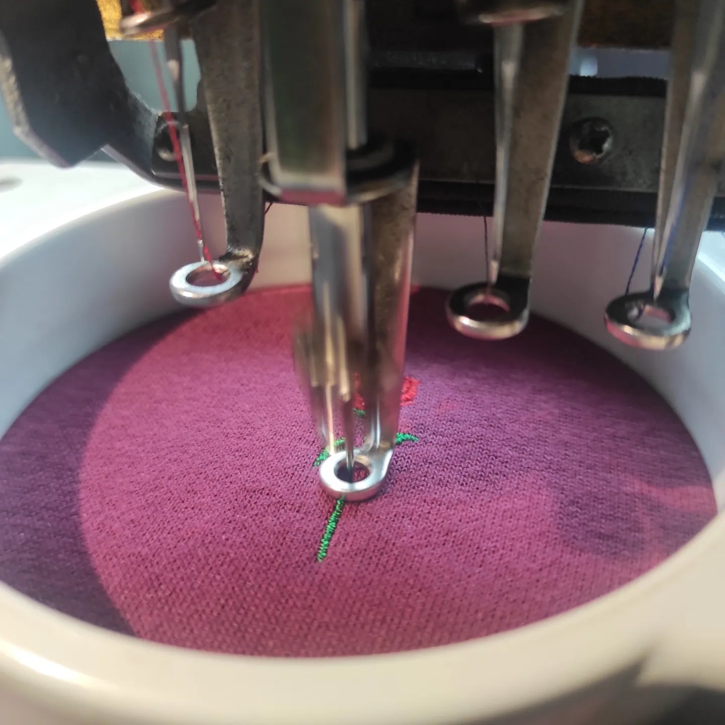 FELPA FORTBLAKE CLASSIC BORDEAUX